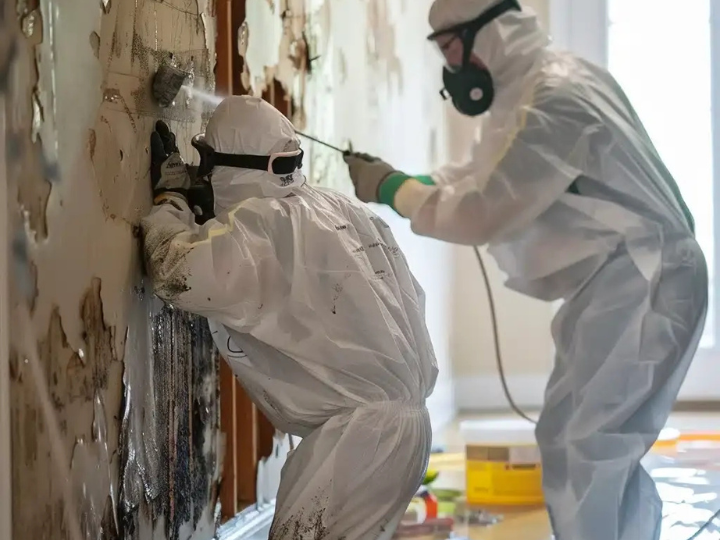 Prevent Mold in Your Home
