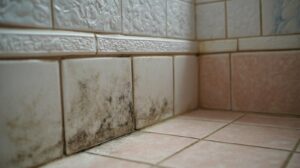 Mold growth on white and pink bathroom tiles near the floor corner.