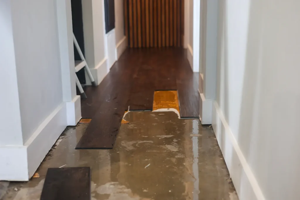 Arvada, CO Water Damage Restoration