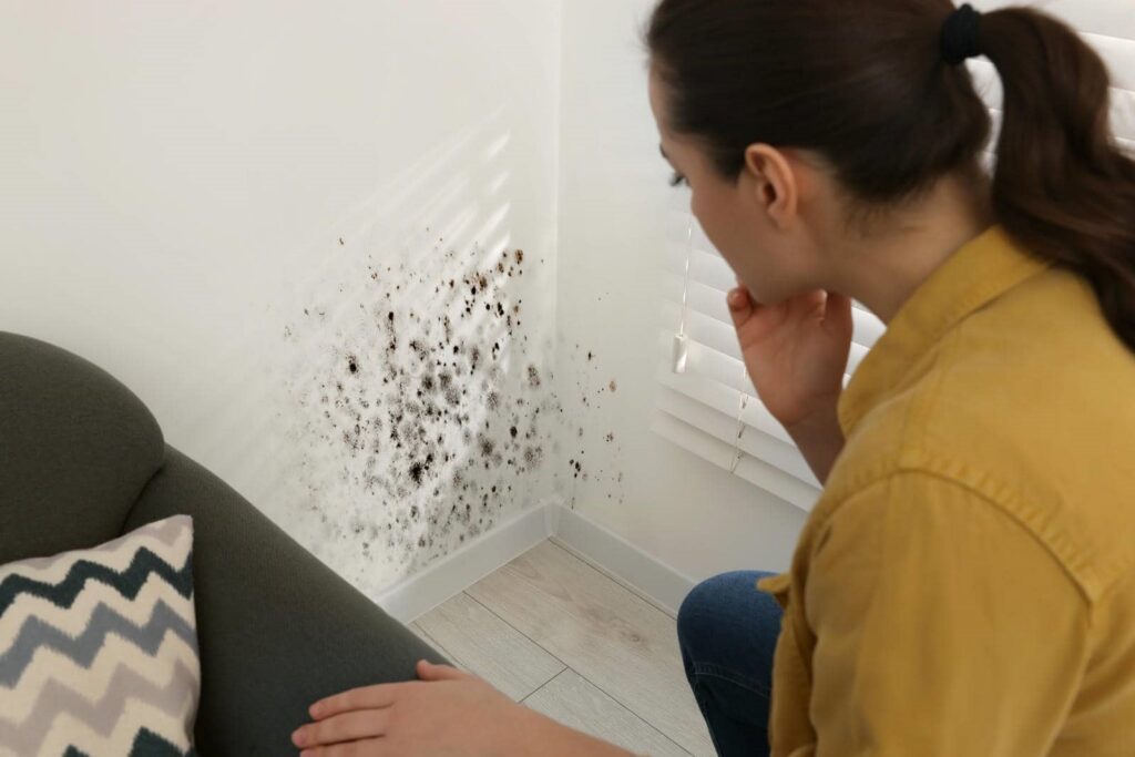 Woman inspecting black mold growing on a white wall corner near a window.