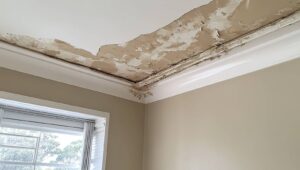 Ceiling corner with extensive water damage and peeling paint near a window.