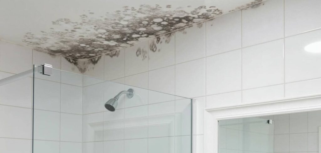 Steps for Successful Mold Removal After Sewage Backup
