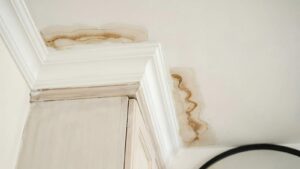 Water stains and damage on a white ceiling near a corner and crown molding.