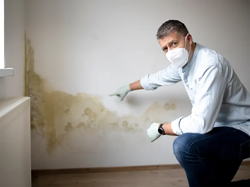 Person in a mask and gloves pointing to mold growth spreading along a water-damaged wall